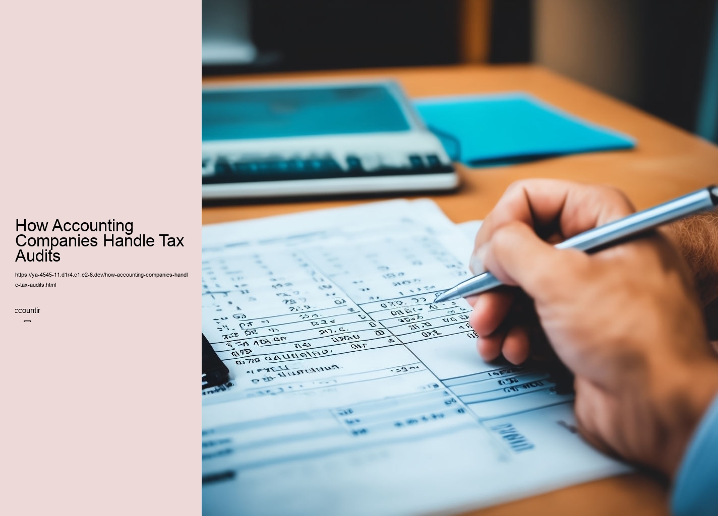 How Accounting Companies Handle Tax Audits