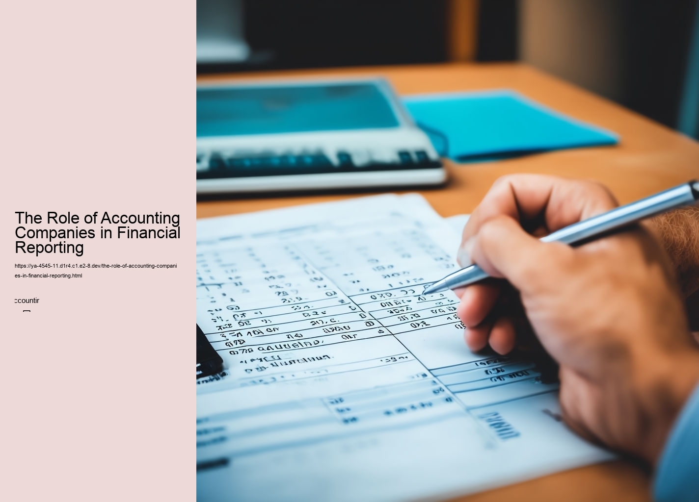 The Role of Accounting Companies in Financial Reporting