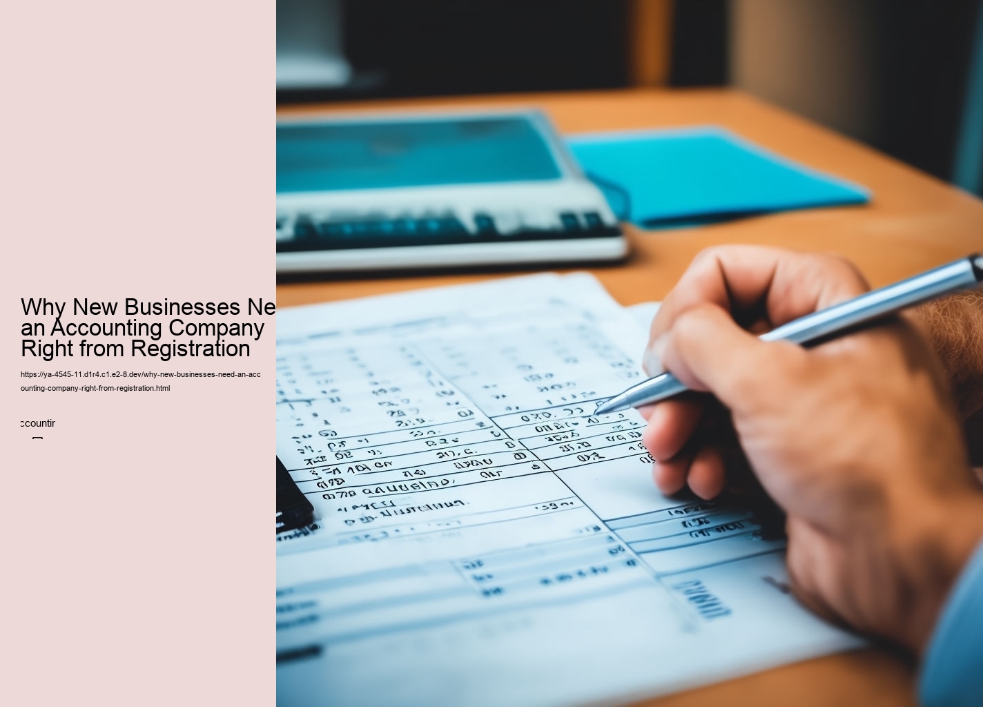 Why New Businesses Need an Accounting Company Right from Registration